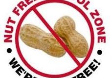 Nut free school